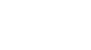 Pneus Toyo Tires